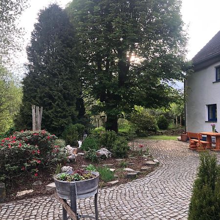 Urlaub In Der Natur Luedenscheid Ngoại thất bức ảnh