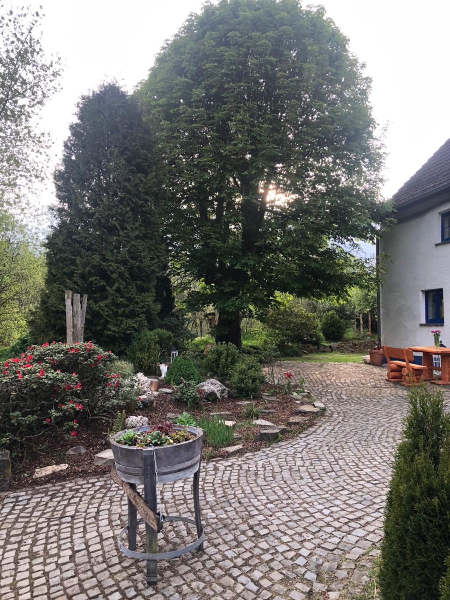 Urlaub In Der Natur Luedenscheid Ngoại thất bức ảnh